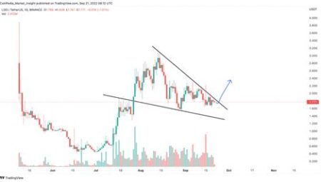 Altcoin Projelerinin Telegram Analizi