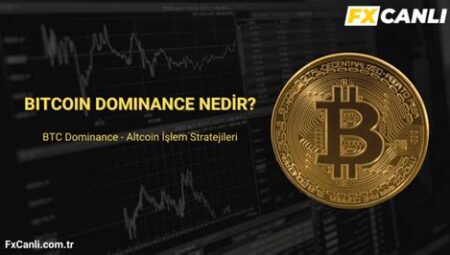 Bitcoin Dominance Nedir?