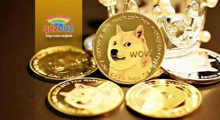 Dogecoin ve Elon Musk Etkisi