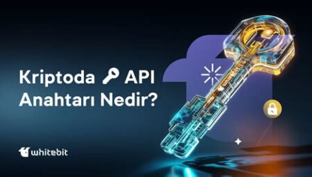 Kripto Borsalarında API Kullanımı