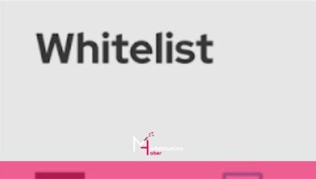 NFT Whitelist Nedir? Nasıl Girilir?